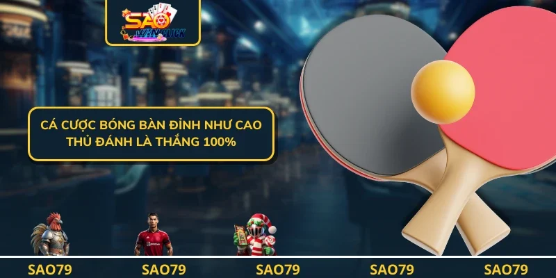 Cá Cược Bóng Bàn Đỉnh Như Cao Thủ Đánh Là Thắng 100%