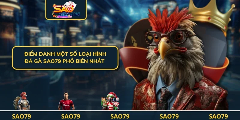 Điểm danh một số loại hình đá gà SAO79 phổ biến nhất